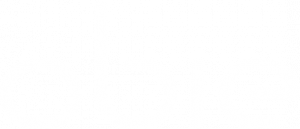 logo-white